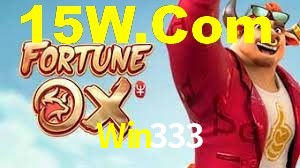 Daily Bonuses Win333