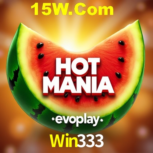 Interface Premium Win333